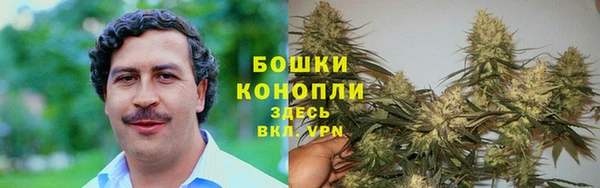 бошки Балахна
