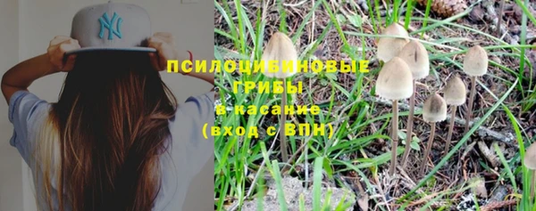 бошки Балахна