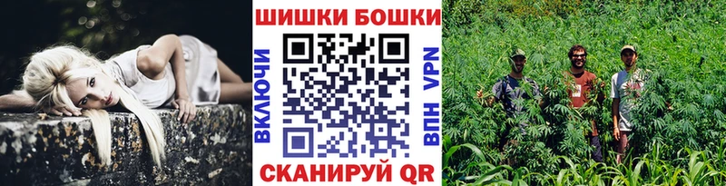 Конопля Ganja  Севск 